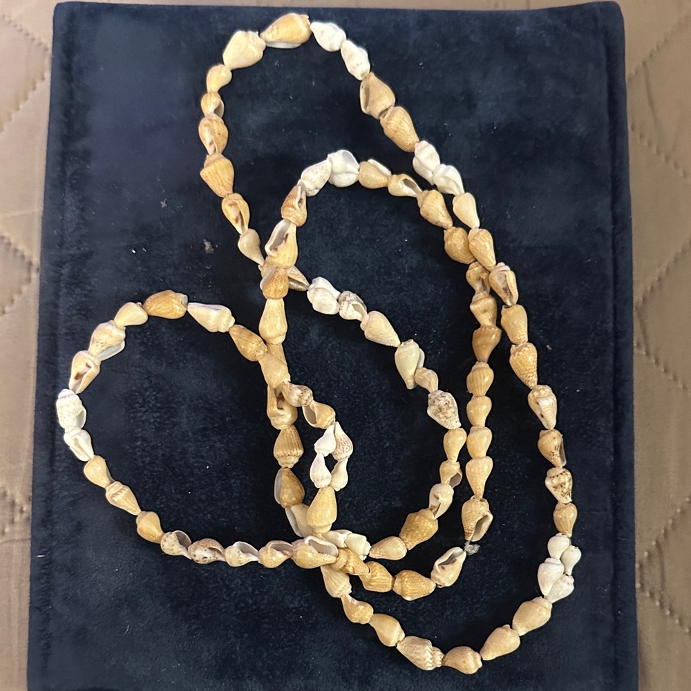 Natural Shell Necklace